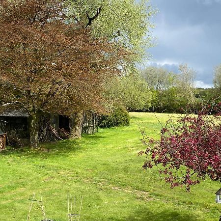 Horseford Lodge B&B South Molton Exterior foto