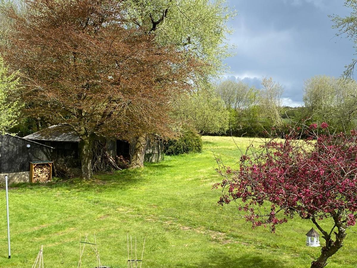 Horseford Lodge B&B South Molton Exterior foto